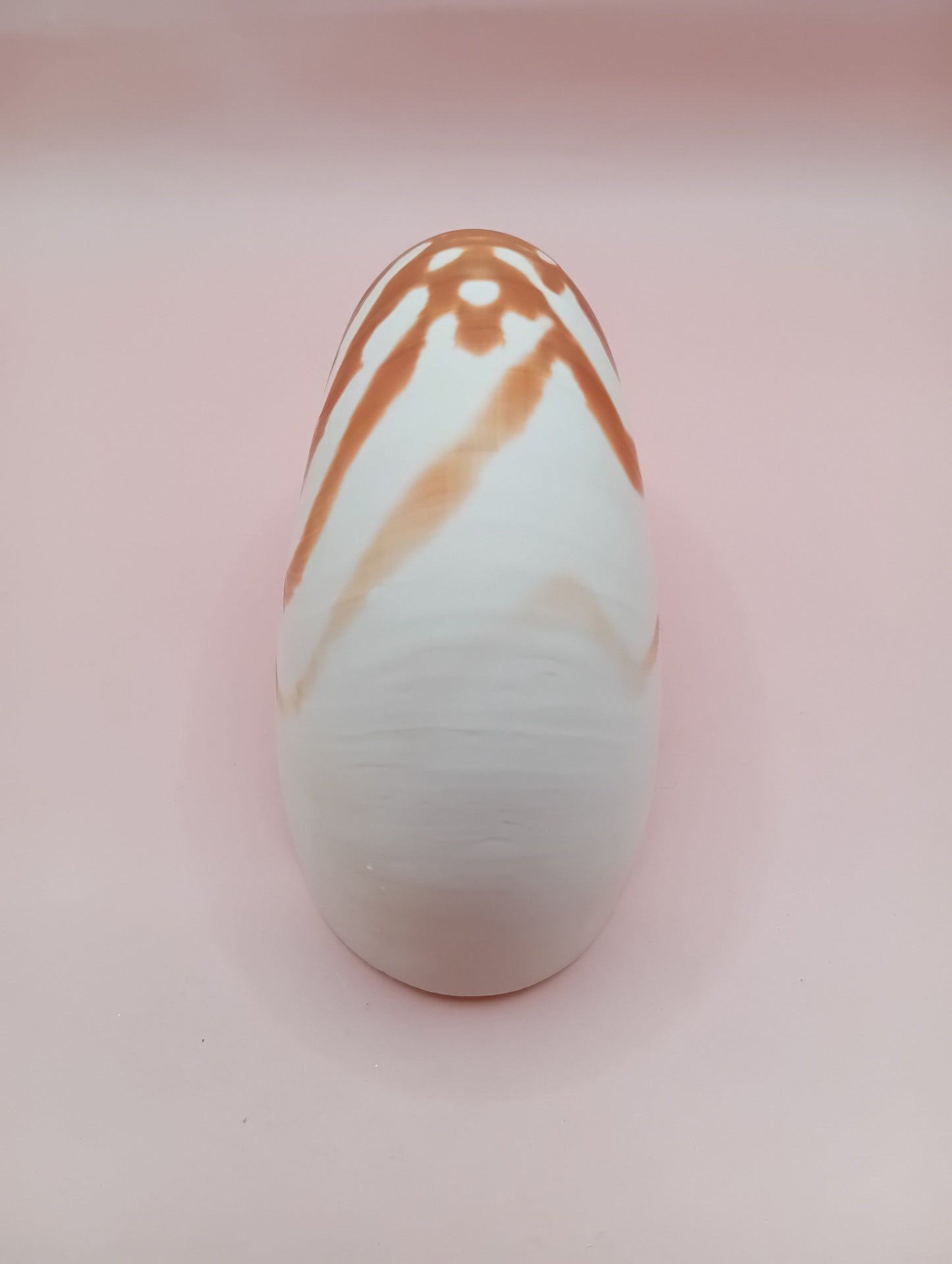 Tiger Nautilus Shell – Striking Natural Ocean Decor 4"