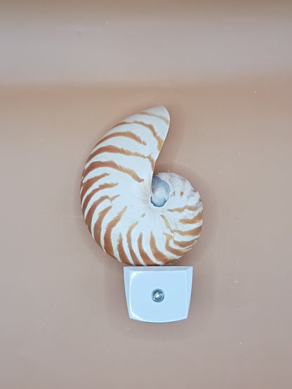Nautilus Shell LED Night Light