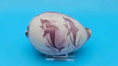 Carved Cowrie Shell Display 3.5" – Dolphin, Seahorse, or Shrimp Design Options