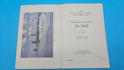Canadian Atlantic Sea Shells – E.L. Bousfield (1960, Softcover)