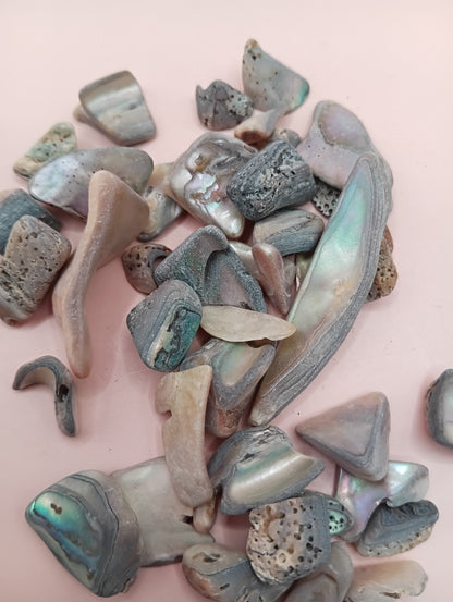 Tumbled Abalone Shell Pieces – Polished Natural Shell Chips for Crafts, Decor & Jewelry (Small)