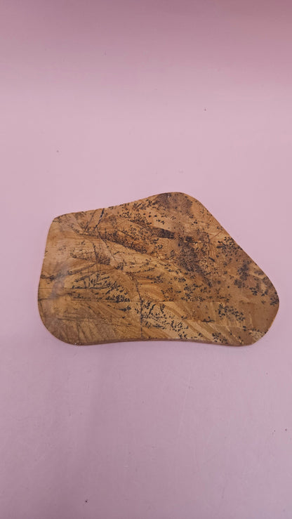 Yellow Feather Jasper Polished Slab – Earthy Patterned Collector’s Piece (50g)