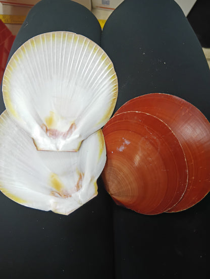 Red Asian Sun Moon Scallops