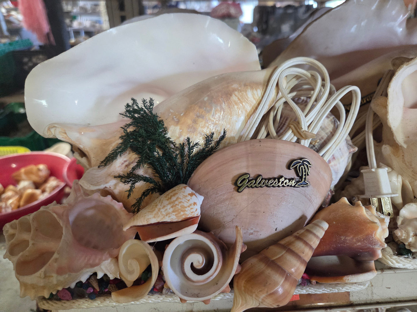 Pink Queen Conch Shell Vintage Novelty Light