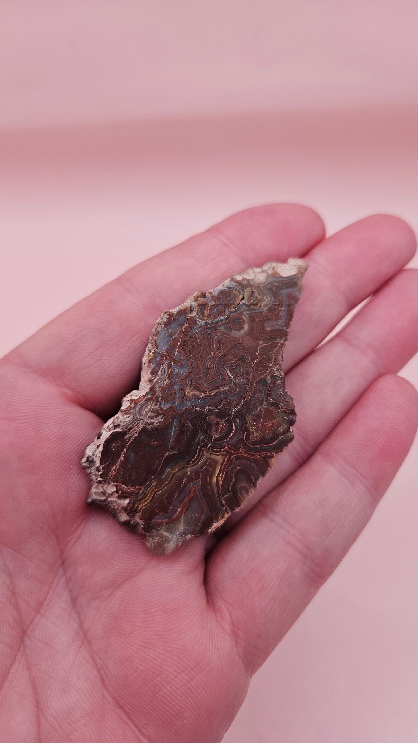 Crazy Lace Agate Slab – Polished Swirling Red & Gray Banded Stone from Mexico – 21g Display or Lapidary Specimen