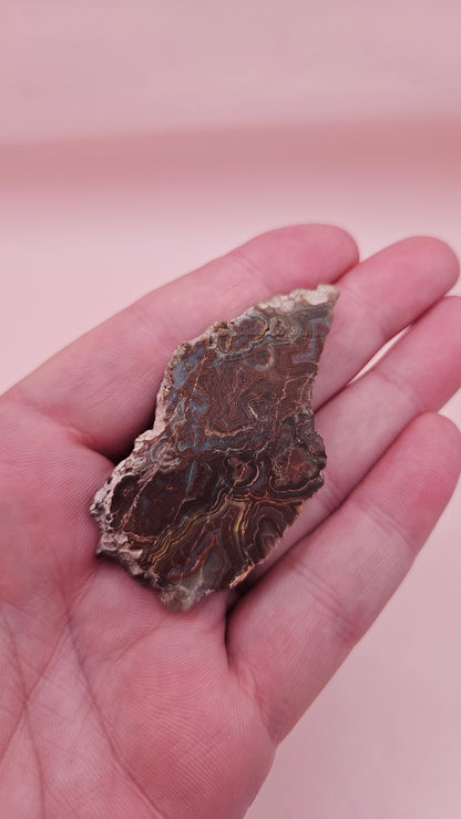 Crazy Lace Agate Slab – Polished Swirling Red & Gray Banded Stone from Mexico – 21g Display or Lapidary Specimen