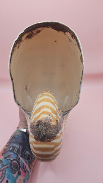 Tiger Nautilus Shell – Striking Natural Ocean Decor (8")