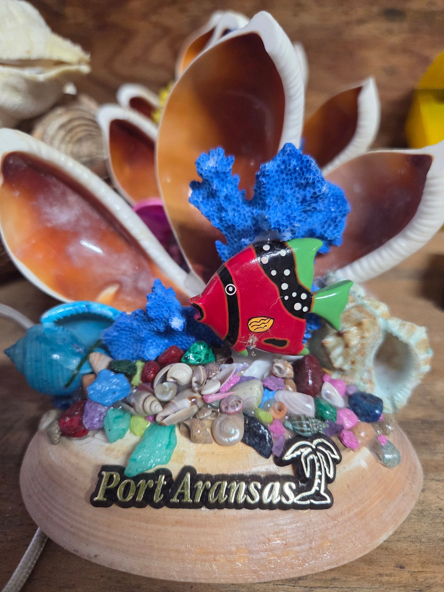 Colorful Coral Reef Novelty with Egg Cowrie