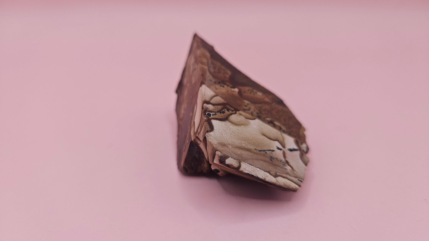 Rough Deschutes Jasper Specimen – 38g Oregon Picture Jasper with Scenic Earth Tones – Collector’s Natural Stone