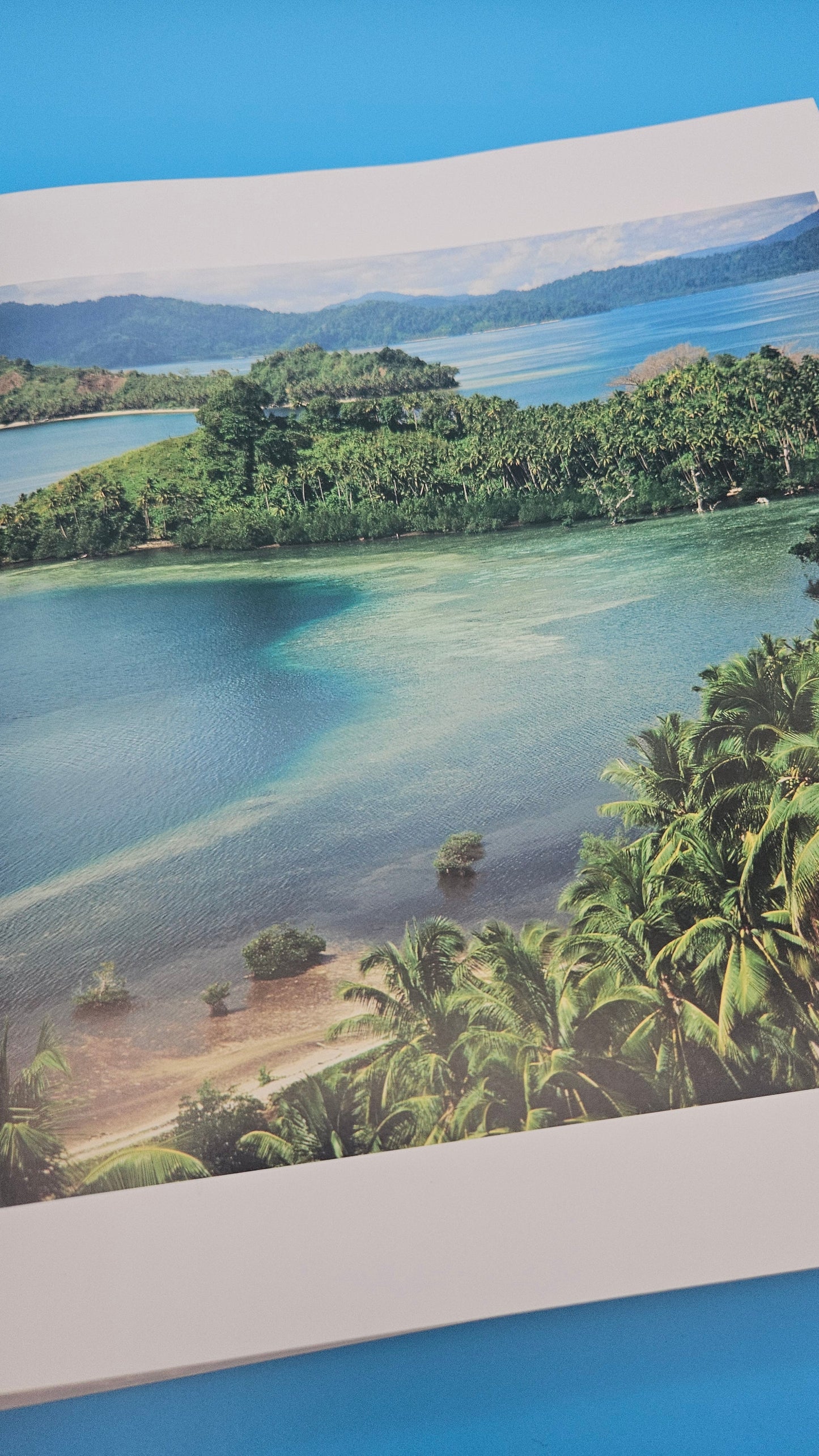 Ultimate Tropical – Luca Invernizzi Tettoni (2009, Hardcover, Rizzoli)