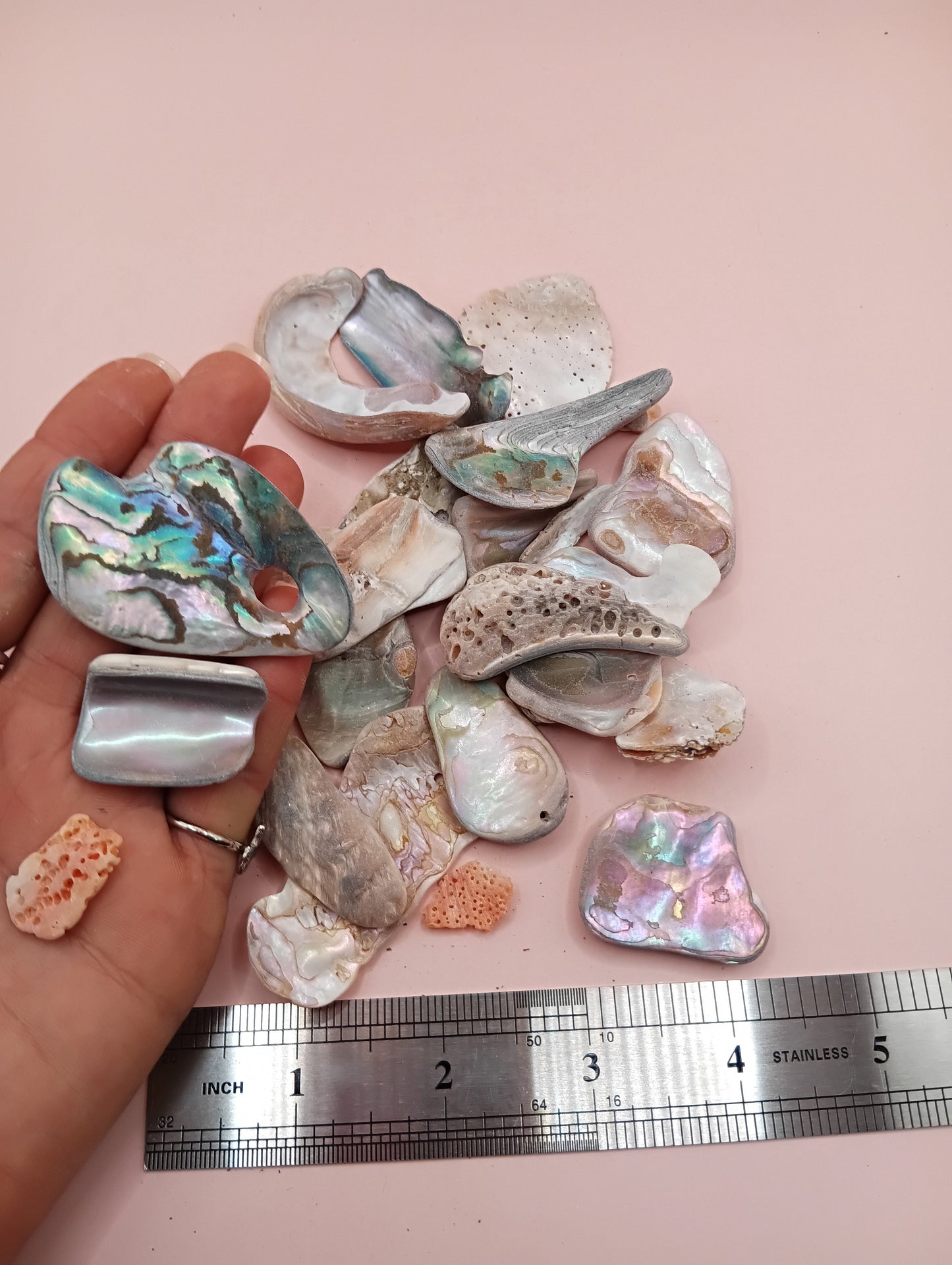 Tumbled Abalone Shell Pieces – Polished Natural Shell Chips for Crafts, Decor & Jewelry (Large)