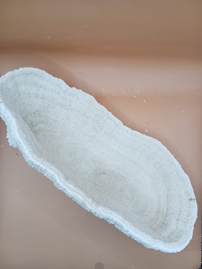 Tongue Mushroom Coral 14" Oblong Bowl Shape