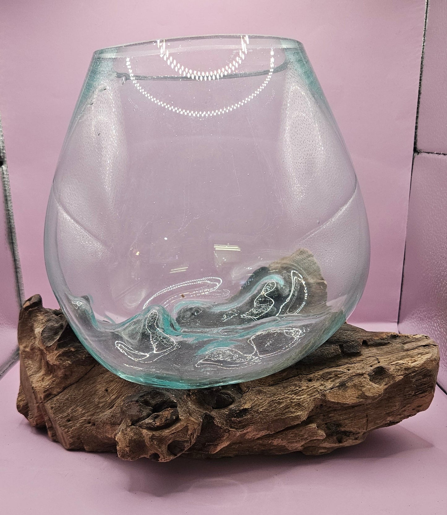 Small/Medium Teak Root Driftwood and Molten Glass Terrarium- Single Globe