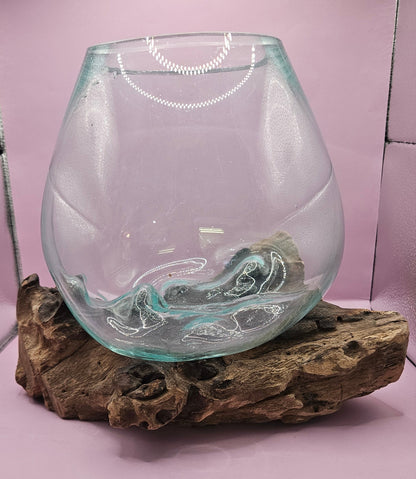 Small/Medium Teak Root Driftwood and Molten Glass Terrarium- Single Globe