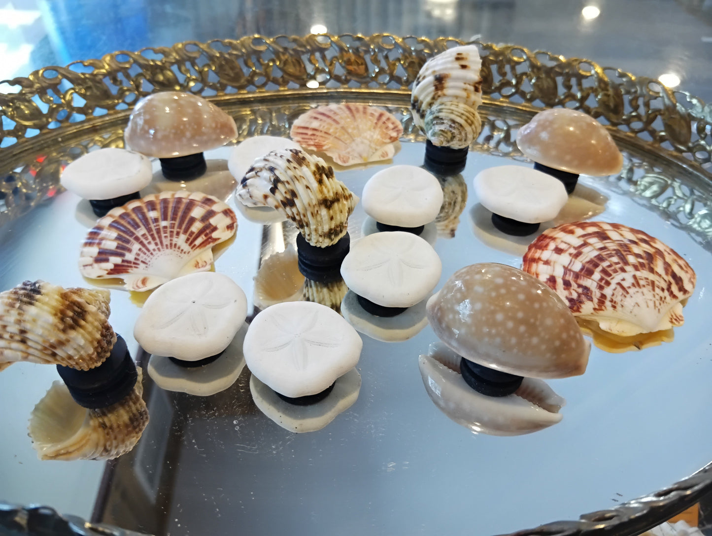 Genuine Seashell Magnets – Handmade Coastal Refrigerator Decor