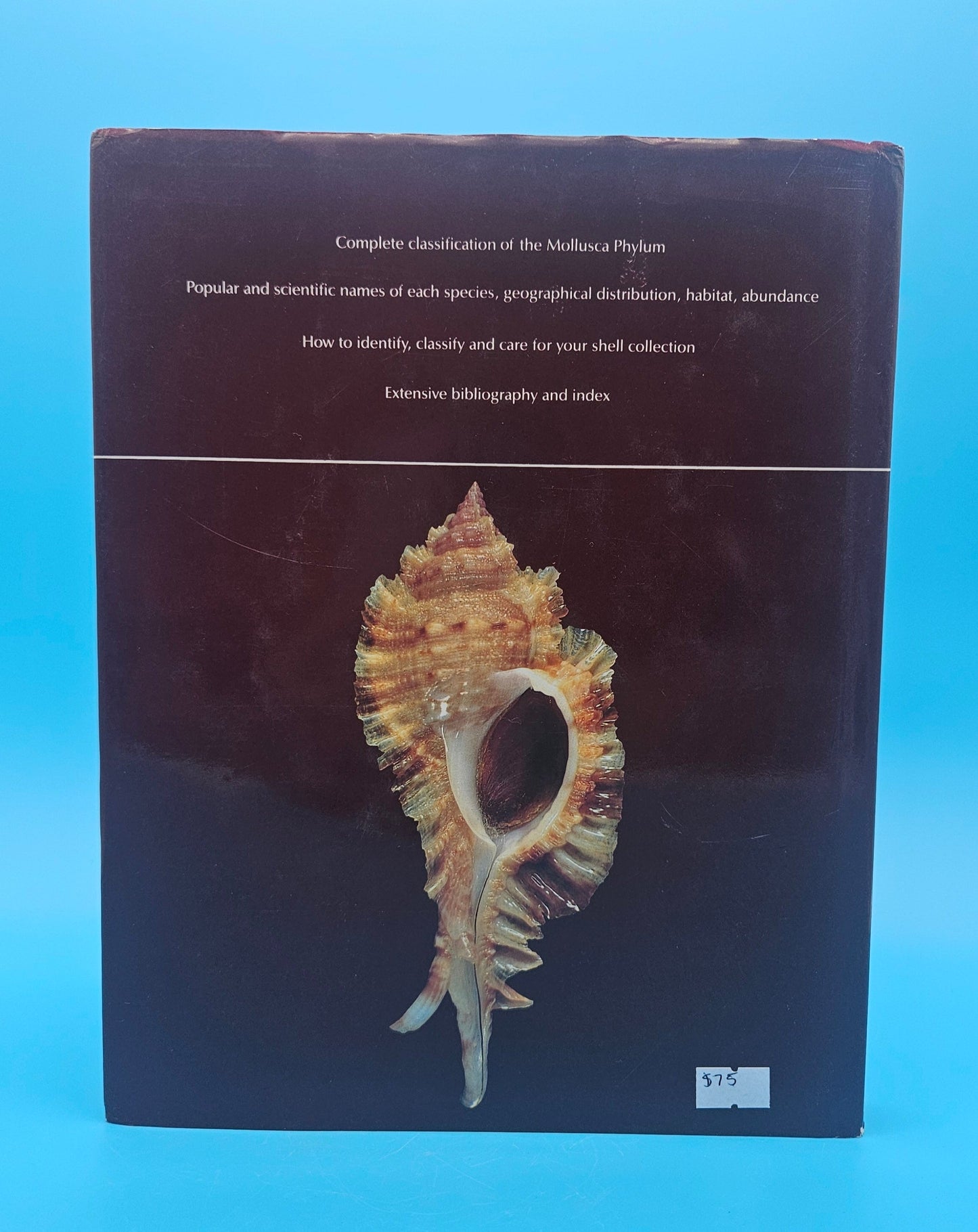 Compendium of Seashells – R. Tucker Abbott & S. Peter Dance (1991, Hardcover)