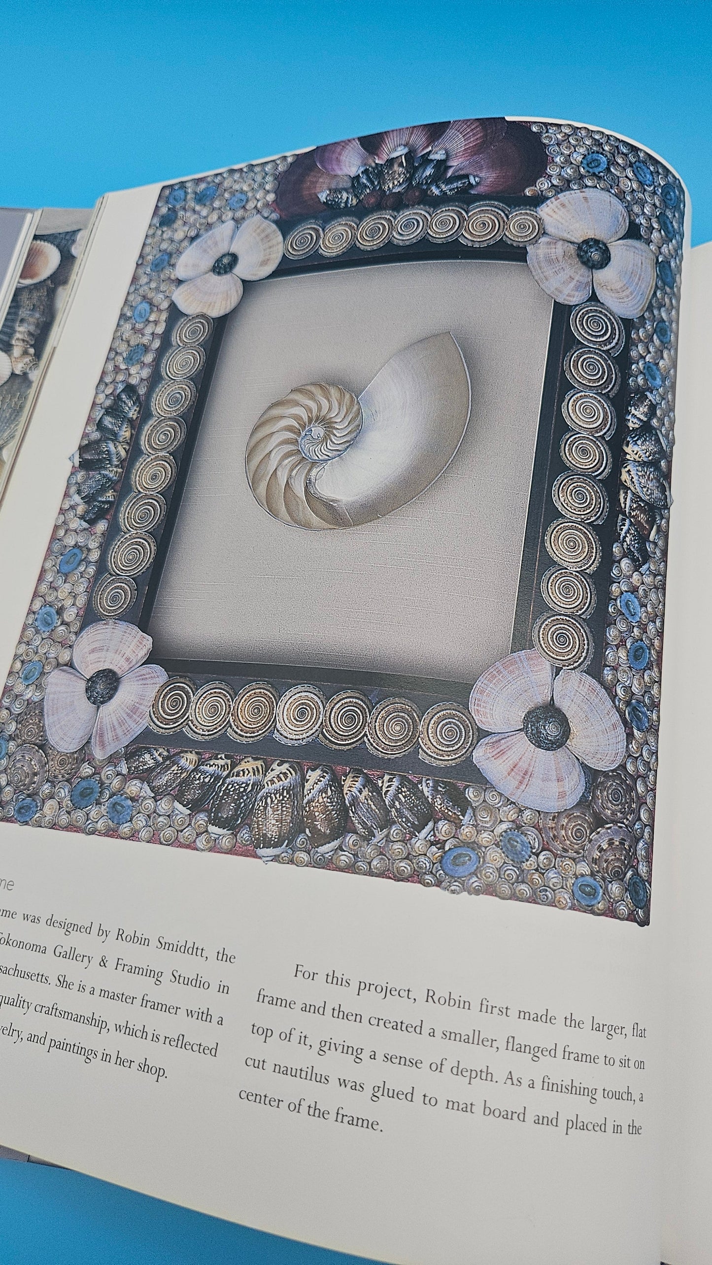 Shell Chic – 2002 Hardcover by Marlene Hurley Marshall