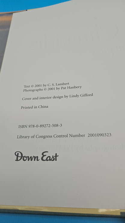 Sea Glass Chronicles: Whispers from the Past – 2001 Hardcover by C.S. Lambert