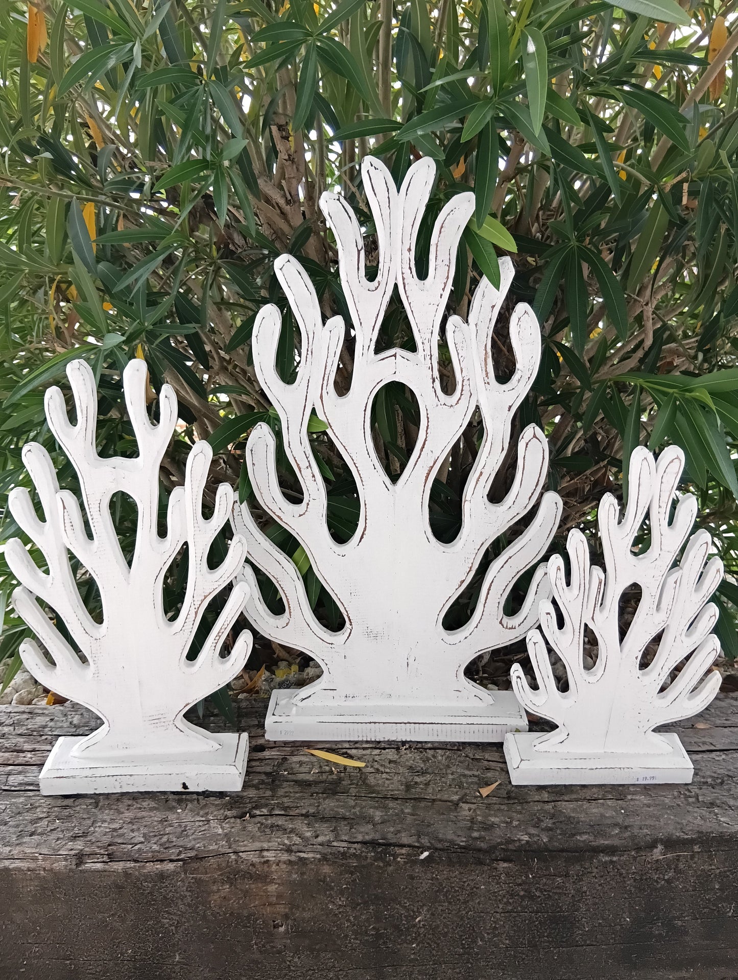 Carved Wooden Coral Sculpture