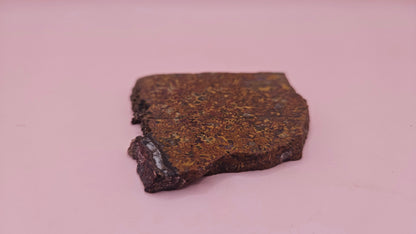 Moss Agate Slab – Earthy Patterns in a Natural Stone Canvas- 60 grams