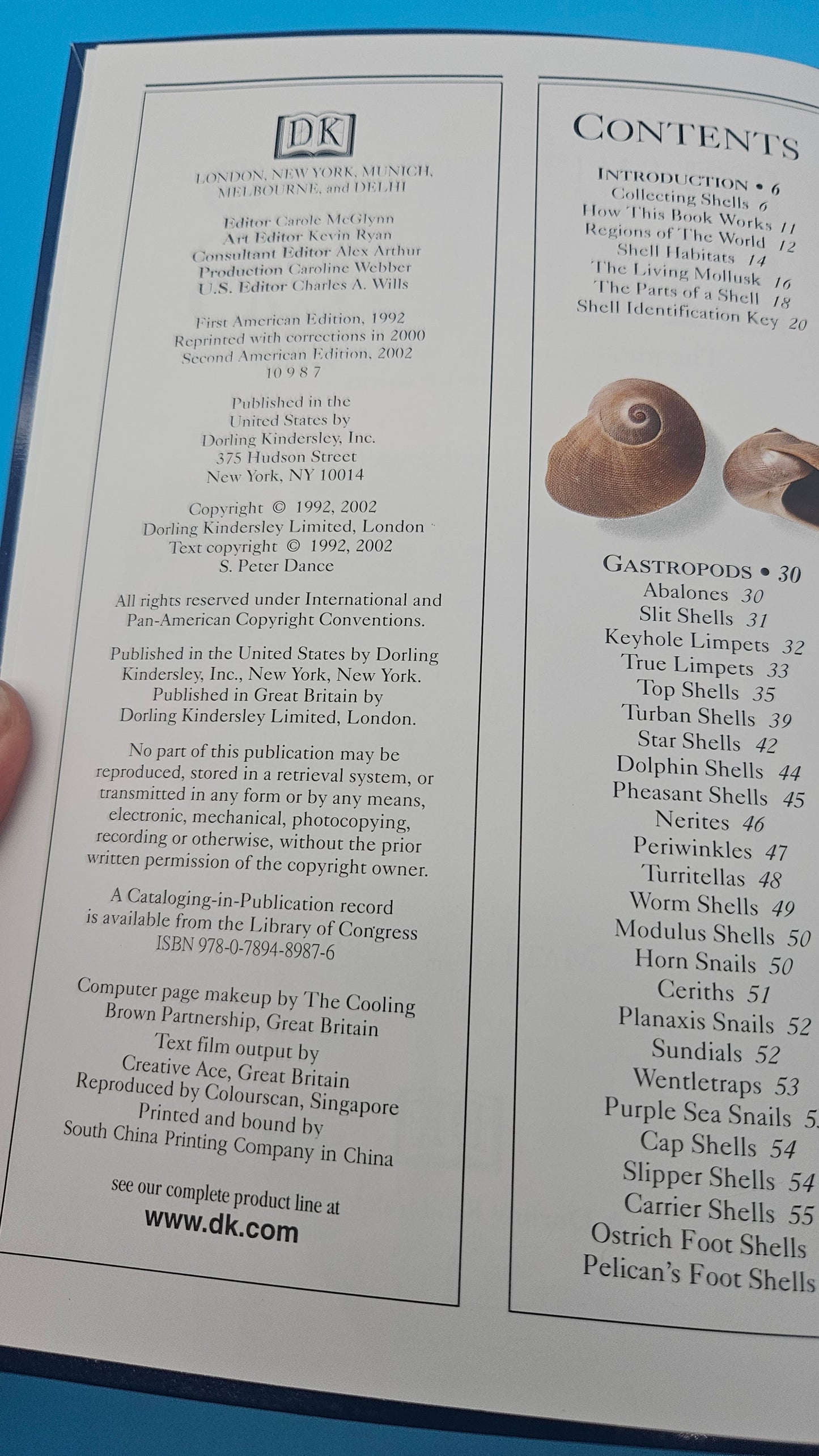 Smithsonian Handbooks: Shells – S. Peter Dance (2002, Softcover, DK Publishing)