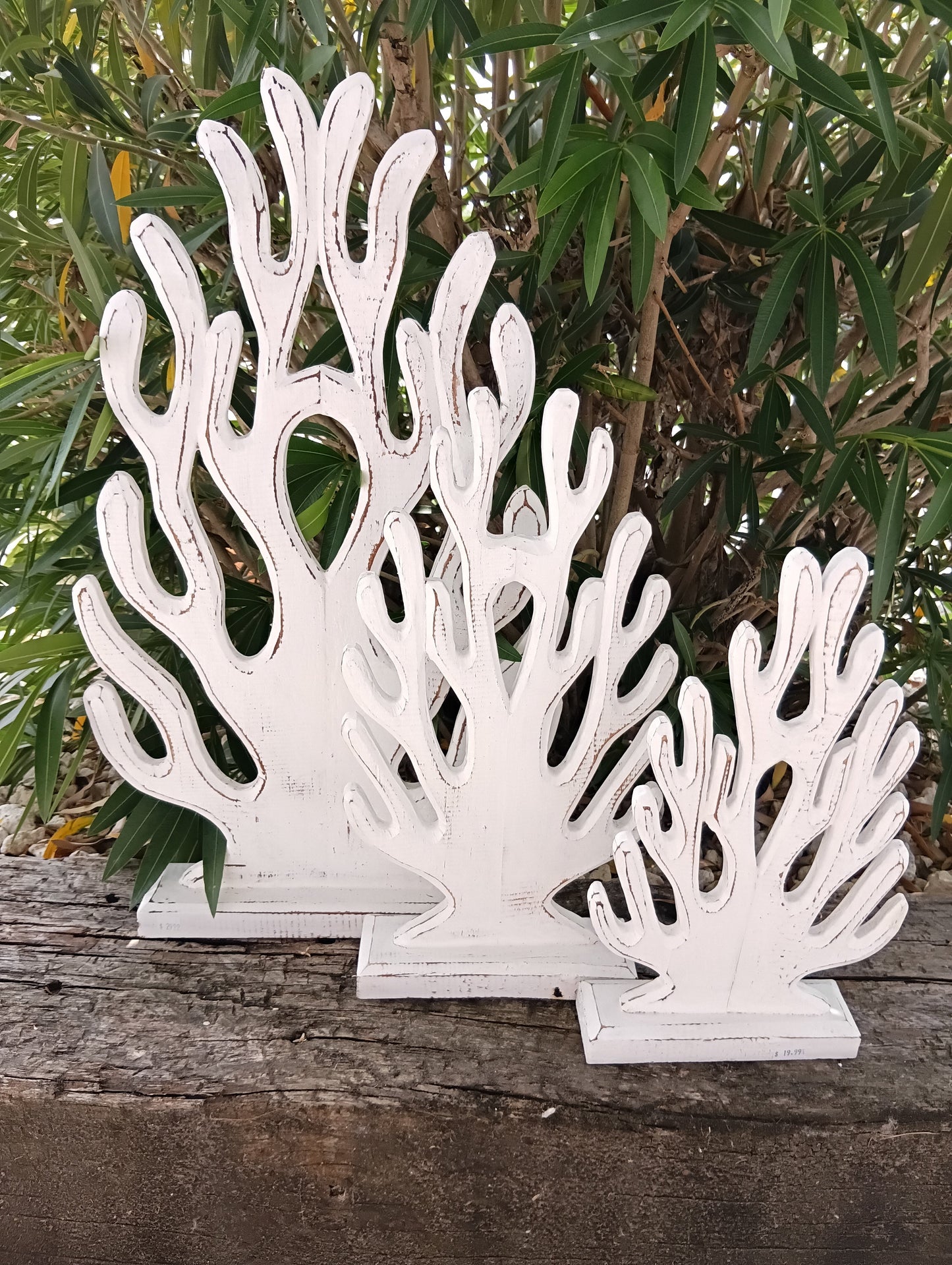 Carved Wooden Coral Sculpture