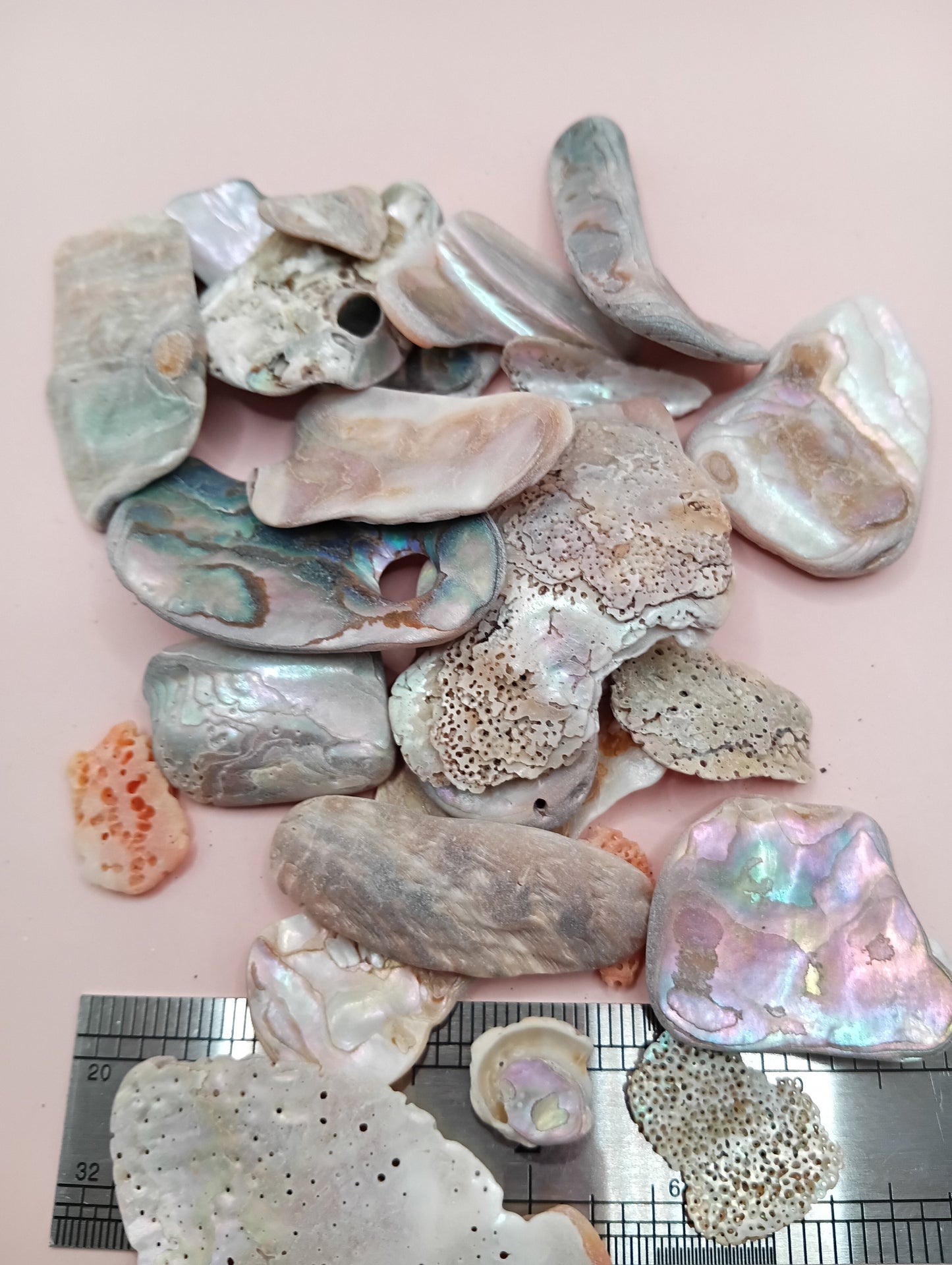 Tumbled Abalone Shell Pieces – Polished Natural Shell Chips for Crafts, Decor & Jewelry (Large)