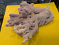 Purple Hydrocoral Fragment - 5x3.5x2"