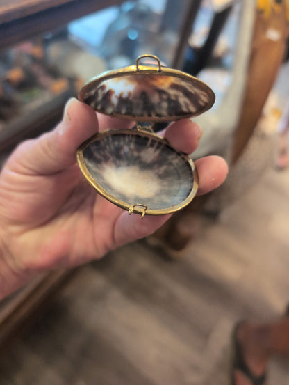 Polished Owl Limpet Coin Purse