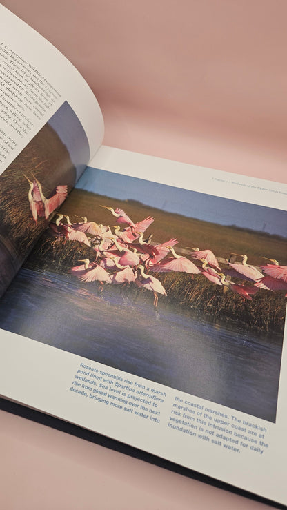 The Book of Texas Bays by Jim Blackburn - Texas A&M University Press - Vintage Coastal Ecology Book