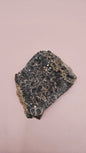 Turritella Agate Slab – Fossilized Snail Shells in Polished Chalcedony – 60g from Wyoming