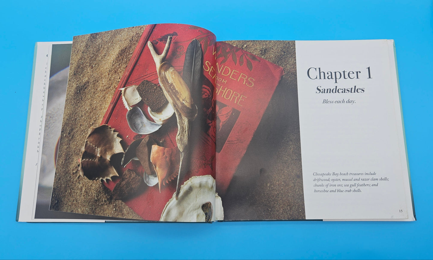 A Beachcomber’s Odyssey: Treasures from a Collected Past – S. Deacon Ritterbush, Ph.D. (2008, First Edition, Hardcover, Signed Copy)