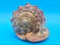 Select Bullmouth Cameo Helmet Shell 7x5x4 Display