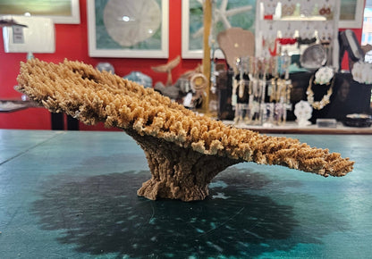 Natural Table- Special Plate Coral 15.75"