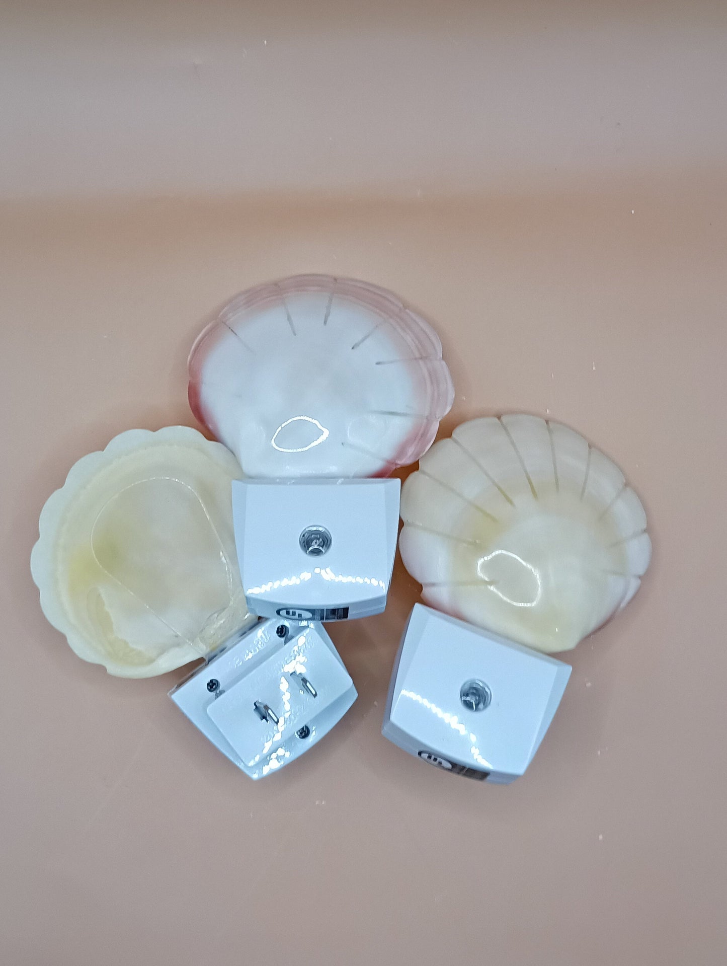 Polished Clam Shell LED Night Light