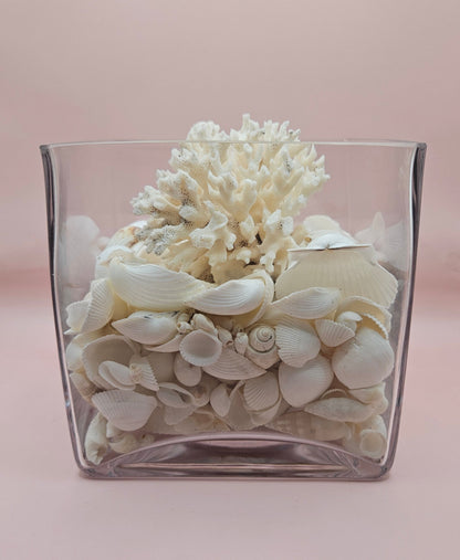 Square Glass Vase with White Coral and Seashell Display – Coastal Centerpiece (6x6)