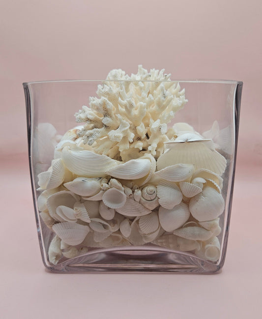 Square Glass Vase with White Coral and Seashell Display – Coastal Centerpiece (6x6)