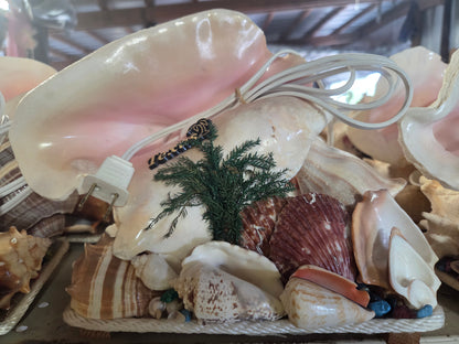 Pink Queen Conch Shell Vintage Novelty Light
