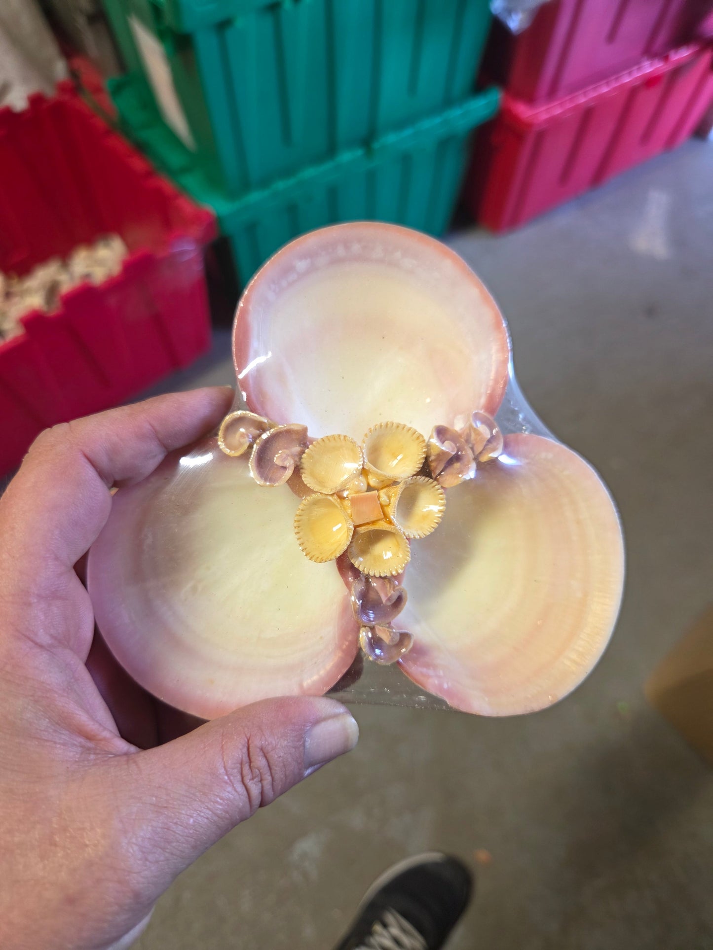 Vintage Tigerina Clam Shell Dish Trio