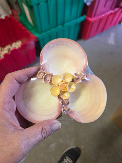 Vintage Tigerina Clam Shell Dish Trio