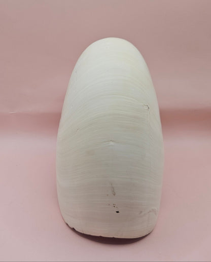 Tiger Nautilus Shell – Striking Natural Ocean Decor (8")