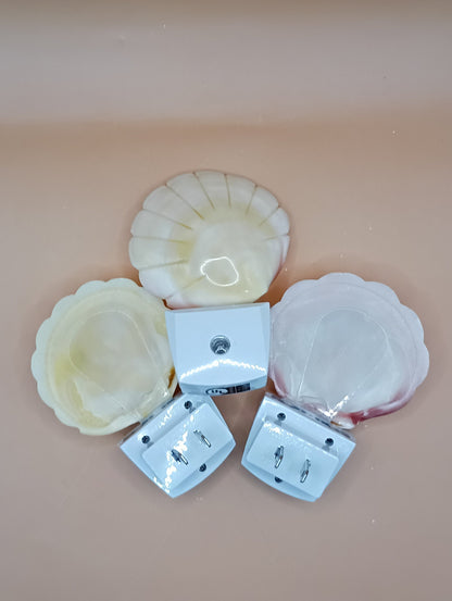 Polished Clam Shell LED Night Light