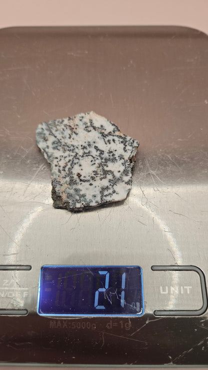 Tree Agate Slab – Natural Dendritic Chalcedony Specimen-21 g