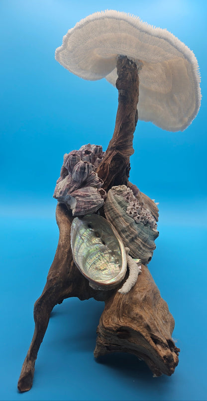 Coral, Abalone & Barnacle Sculpture on Grapevine Wood – 20" x 6.5" x 15.5"