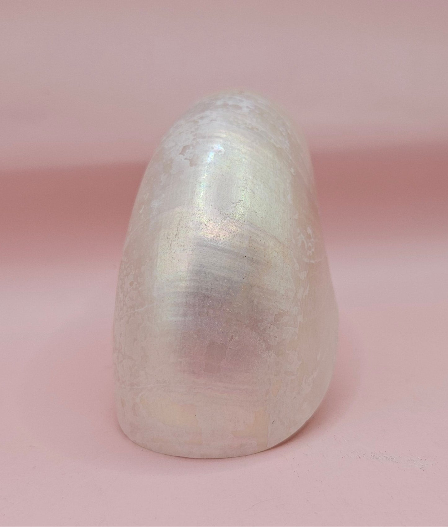 Polished Pearl Nautilus Shell – Elegant Ocean Décor (3.75")