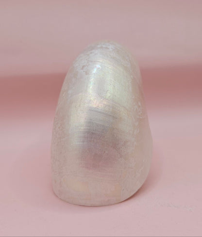 Polished Pearl Nautilus Shell – Elegant Ocean Décor (3.75")