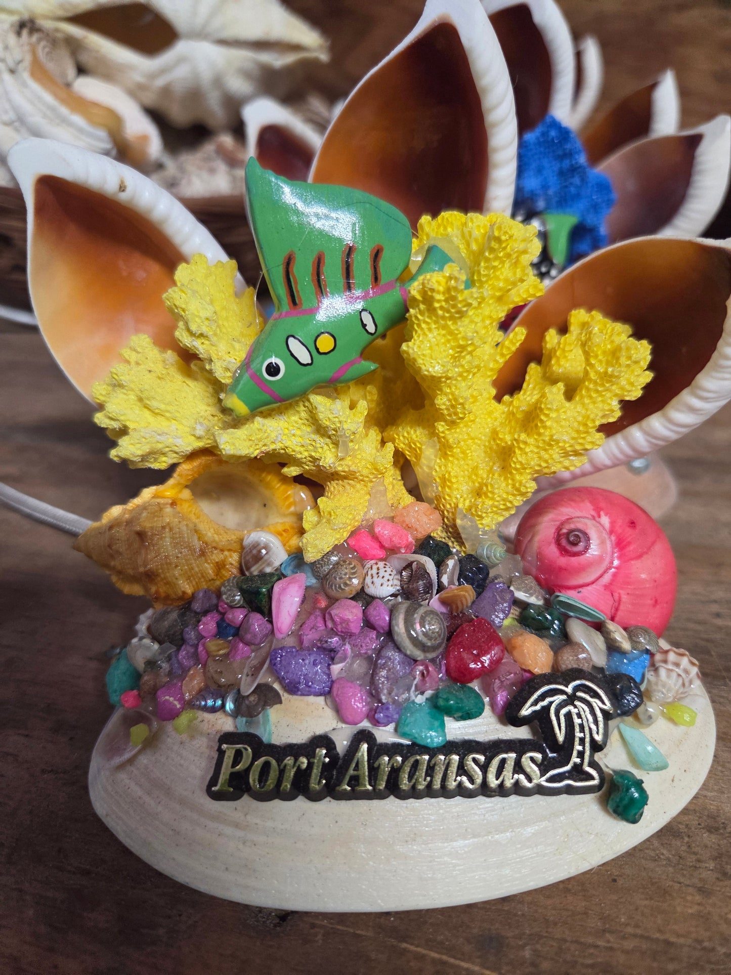 Colorful Coral Reef Novelty with Egg Cowrie