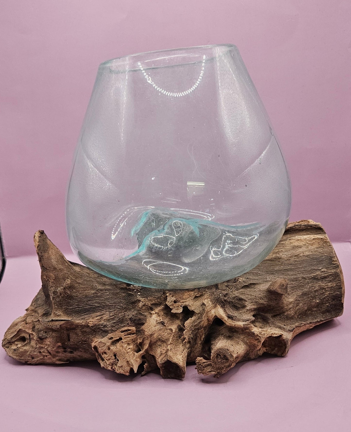 Small/Medium Teak Root Driftwood and Molten Glass Terrarium- Single Globe