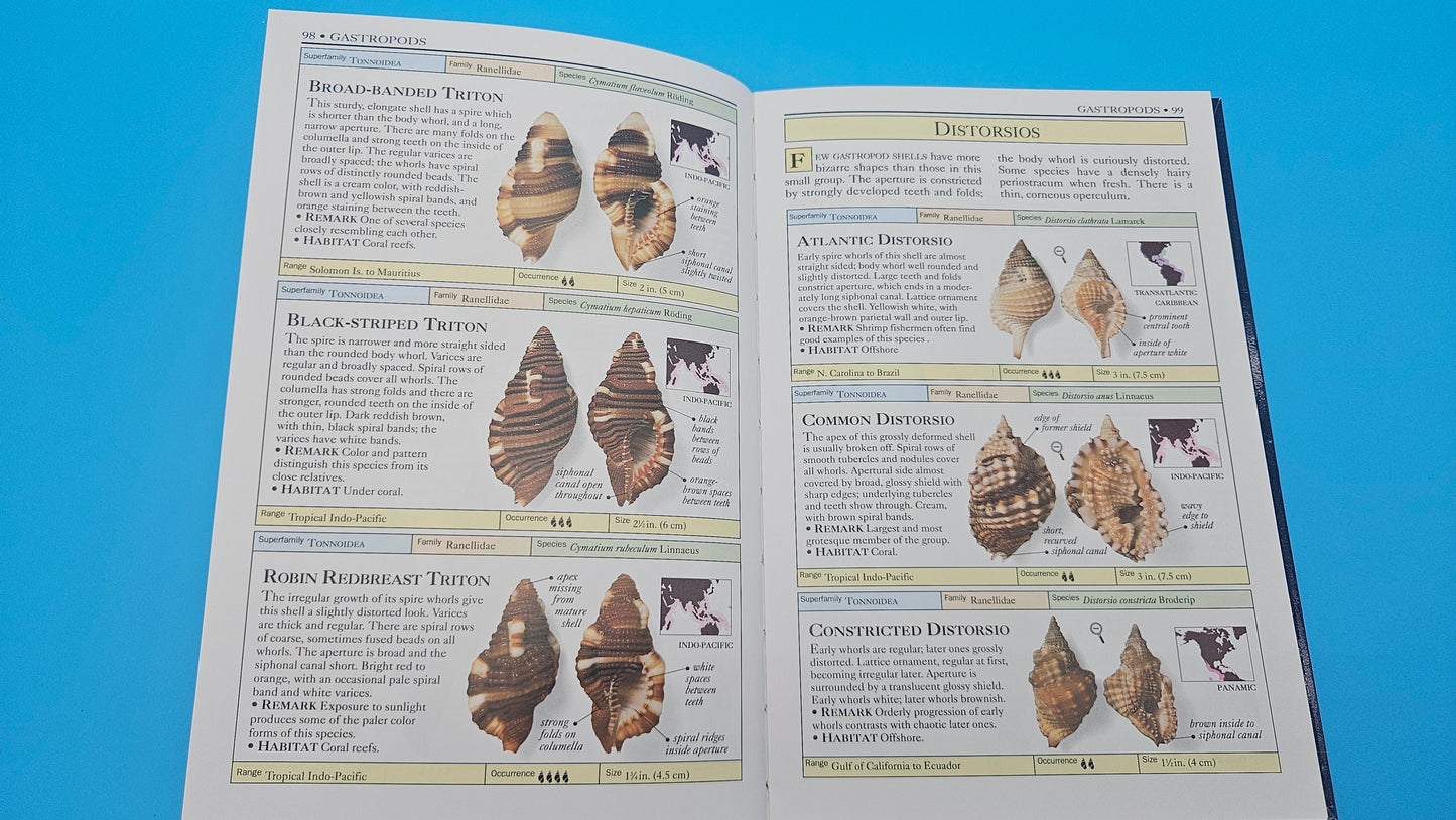 Smithsonian Handbooks: Shells – S. Peter Dance (2002, Softcover, DK Publishing)