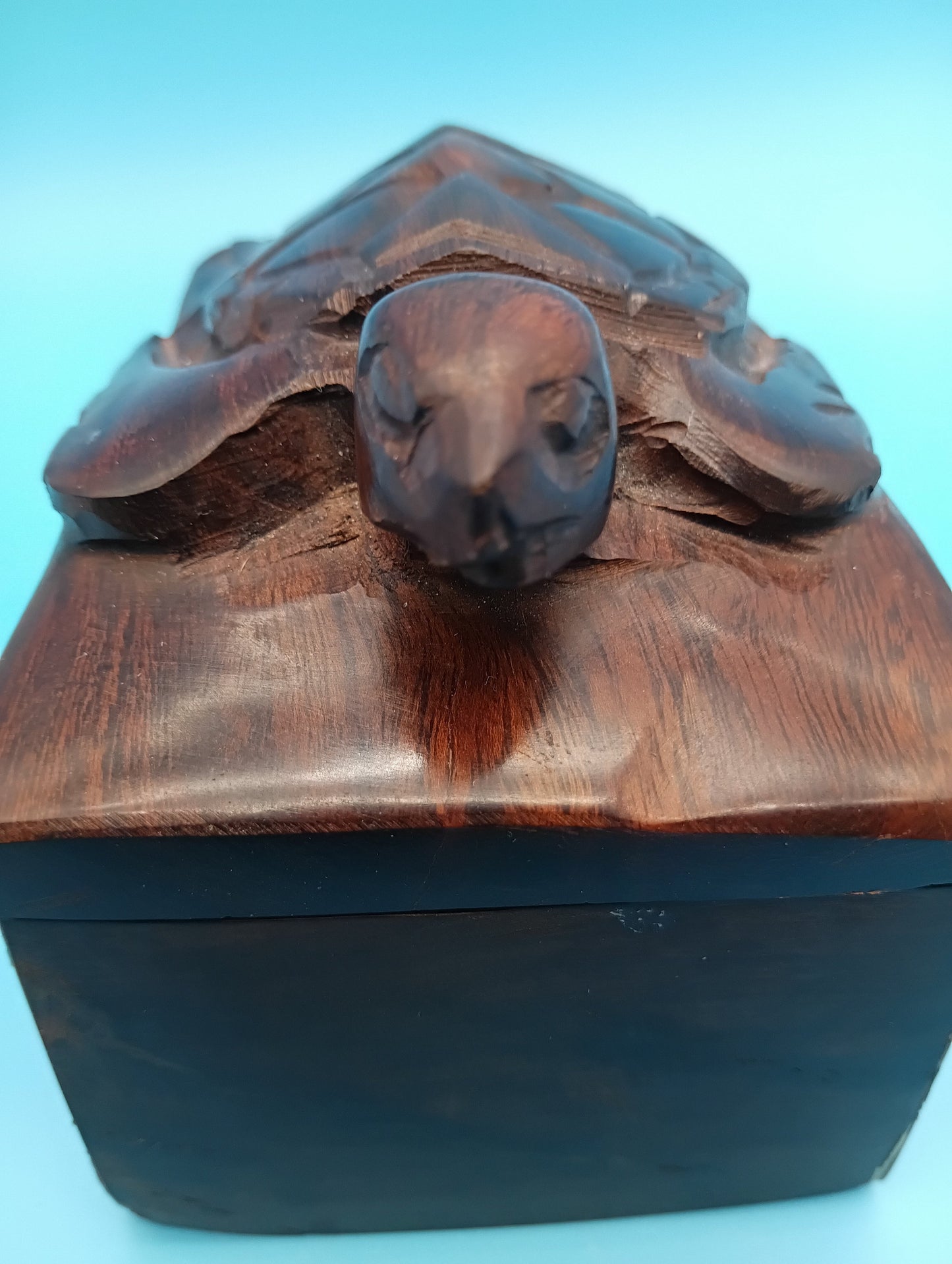 Hand Carved Ironwood Turtle Box – Coastal Decor Storage 5.25"